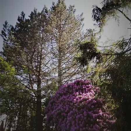 Chalpa Na Skarpie * Meszna