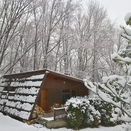 Dağ evi Chalpa Na Skarpie *