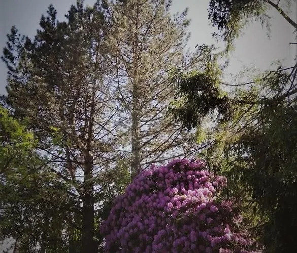 Chalpa Na Skarpie * Meszna